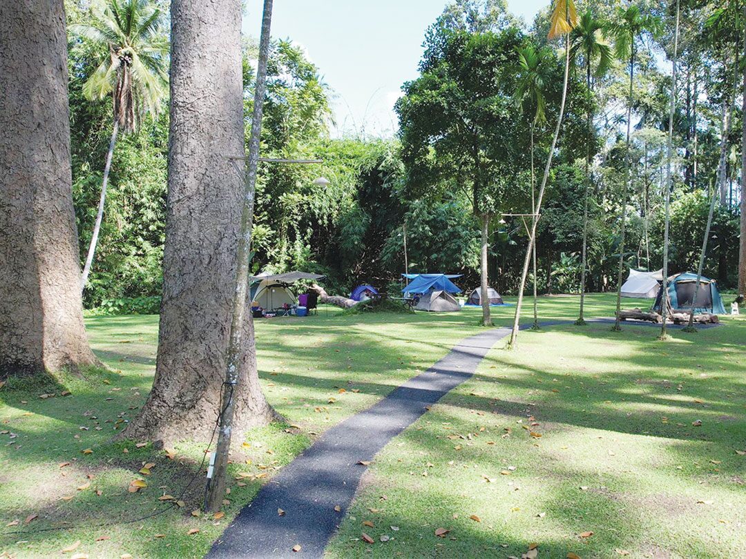 สดจากเยาวชน - คุณทวดยางนา ณ ลานกลางใจ 