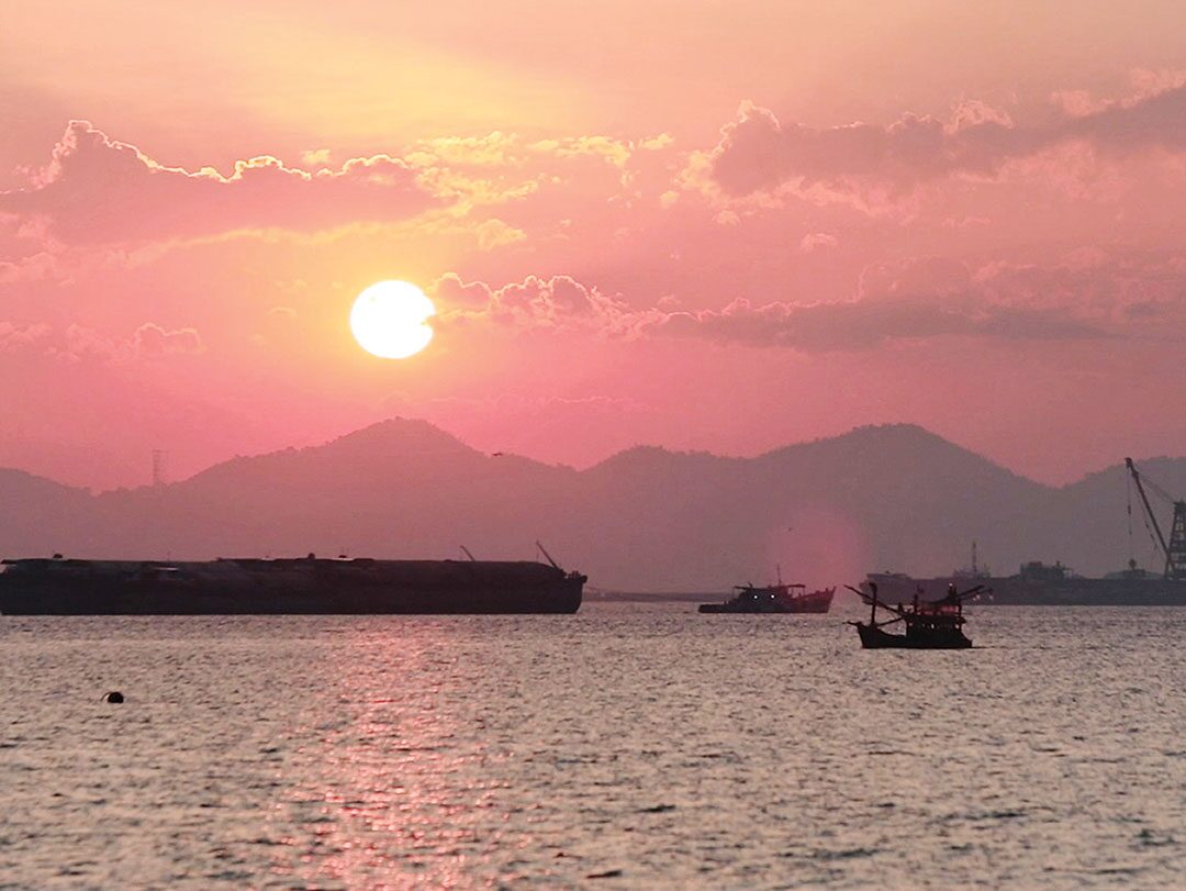 สดจากเยาวชน - ไต๋ไต๋เกาะสีชัง วิถีกลางทะเล