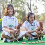 เครือซีพี หนุนเลี้ยงไก่ไข่เพื่ออาหารกลางวันนักเรียน สู่ปีที่ 36