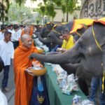 สวนนงนุช  นำช้าง 9 เชือกร่วมพิธีทำบุญ ต้อนรับวันปีใหม่ 2567 