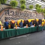 สวนนงนุช  นำช้าง 9 เชือกร่วมพิธีทำบุญ ต้อนรับวันปีใหม่ 2567 