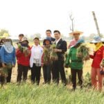 กรมการค้าภายในเชื่อมโยงผู้ประกอบการรับซื้อหอมแดงศรีสะเกษ 6,875 ตัน