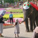 สวนนงนุช จัดกิจกรรมวันเด็ก เข้าฟรี พร้อมมอบของรางวัลนับหมื่น 