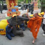 สวนนงนุช  นำช้าง 9 เชือกร่วมพิธีทำบุญ ต้อนรับวันปีใหม่ 2567 