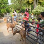 สวนนงนุช จัดกิจกรรมวันเด็ก เข้าฟรี พร้อมมอบของรางวัลนับหมื่น 