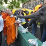 สวนนงนุช  นำช้าง 9 เชือกร่วมพิธีทำบุญ ต้อนรับวันปีใหม่ 2567 