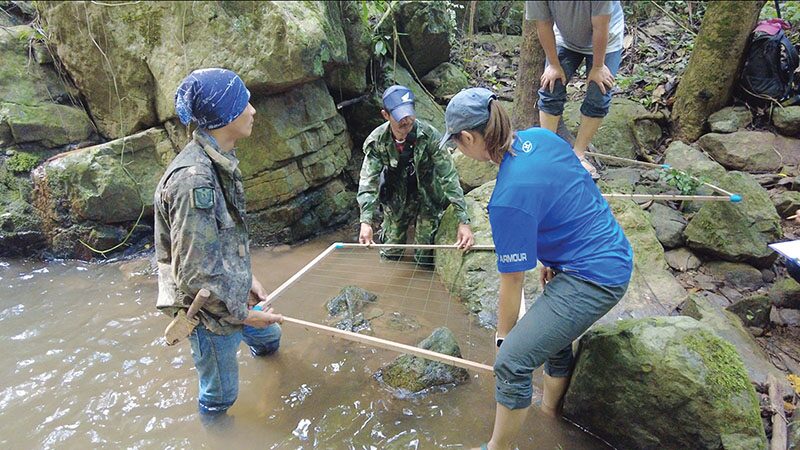 เพื่อนตัวเล็ก - เชียงรายพบเต่าปูลู ตัวชี้วัดป่าสมบูรณ์