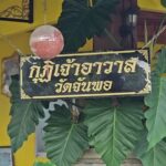 พระรุมทุบ หมาตาแตก แอบย่องรับทราบข้อกล่าวหา ส่วน 'เจ้าย่น' อาการดีขึ้นรอเช็กลูกตา