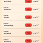 จิสด้า แจ้ง 60 จังหวัดทั่วไทย จม PM2.5 ผงะ 3 จว. อยู่ระดับวิกฤต กรุงเทพฯ ค่าฝุ่นพิษพุ่งอีก