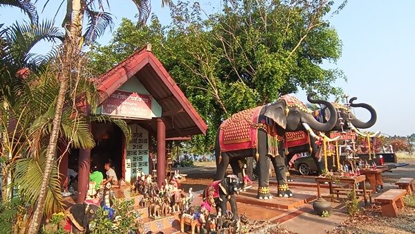 แห่ขอพร ศาลเจ้าพ่อบ้านหัวทำนบ ศูนย์รวมเจ้าพ่อ-เจ้าแม่ สิ่งศักดิ์สิทธิ์นับ 10 องค์ ต้นตะเคียนยักษ์ 20 ต้น ส่องเลขเด็ดลุ้นรวย