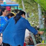 ฮือฮา ต้นหมากแตกกิ่งคล้ายเศียรพญานาค เชื่อมาให้โชค ชาวบ้านจุดธูปเซ่นไหว้ ทาแป้งขอหวย