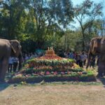 ไนท์ซาฟารี ทำบุญใหญ่ วันครบรอบ 18 ปี เสิร์ฟบุฟเฟ่ต์คืนความสุขให้สัตว์นับพันตัว 