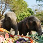 ไนท์ซาฟารี ทำบุญใหญ่ วันครบรอบ 18 ปี เสิร์ฟบุฟเฟ่ต์คืนความสุขให้สัตว์นับพันตัว 