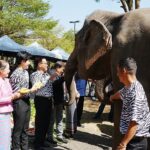 ไนท์ซาฟารี ทำบุญใหญ่ วันครบรอบ 18 ปี เสิร์ฟบุฟเฟ่ต์คืนความสุขให้สัตว์นับพันตัว 