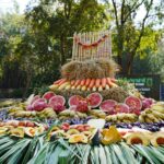 ไนท์ซาฟารี ทำบุญใหญ่ วันครบรอบ 18 ปี เสิร์ฟบุฟเฟ่ต์คืนความสุขให้สัตว์นับพันตัว 