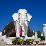 ไนท์ซาฟารี ทำบุญใหญ่ วันครบรอบ 18 ปี เสิร์ฟบุฟเฟ่ต์คืนความสุขให้สัตว์นับพันตัว 