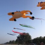 ททท. ร่วมกับ อบจ. เตรียมจัดมหกรรมว่าว Suratthani Kite Festival 2024