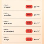 ทั่วไทย 55 จังหวัด ผจญ PM2.5 เกินค่ามาตรฐาน วิกฤต 5 จว. กทม.จมฝุ่นพิษ 48 เขต