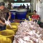 ราคาไก่หน้าโรงเชือดเพิ่มขึ้น ช่วงเทศกาลตรุษจีน เหตุไก่ขาดตลาด