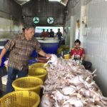 ราคาไก่หน้าโรงเชือดเพิ่มขึ้น ช่วงเทศกาลตรุษจีน เหตุไก่ขาดตลาด