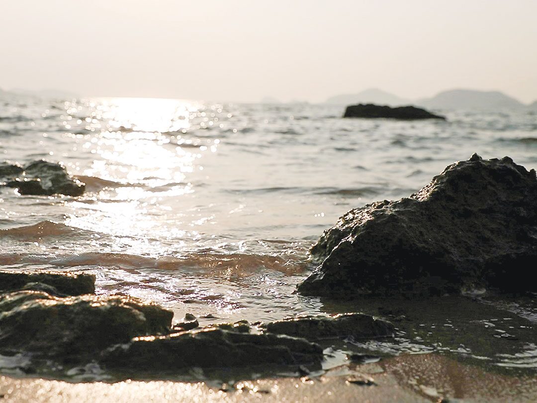 สดจากเยาวชน