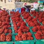 108 ปีสหกรณ์ไทย”สู่นโยบาย”ตลาดนำนวัตกรรมเพิ่มรายได้”