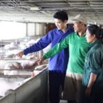 เนื้อหมูจากฟาร์มเกษตรกรรายย่อย สู่ร้านค้าปลีก-ค้าส่งขนาดใหญ่
