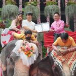 สวนนงนุชพัทยา จัดงานจดทะเบียนสมรสบนหลังช้าง รับวันวาเลนไทน์