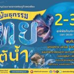 พิพิธภัณฑ์การเกษตรฯ ชวนเที่ยวงานตลาดเศรษฐกิจพอเพียง 