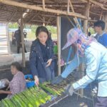 บลูเทคซิตี้ กับการพัฒนาทุ่งสมุนไพรป่าชายเลน เป็นศูนย์เรียนรู้ระดับประเทศ