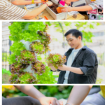 เจียไต๋ส่งต่อไอเดียการเกษตรในพื้นที่จำกัด