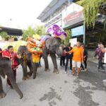 สวนนงนุชต้อนรับตรุษจีน จัดขบวนช้างแสนรู้เชิดสิงโต อวยพรนักท่องเที่ยว