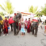 สวนนงนุชต้อนรับตรุษจีน จัดขบวนช้างแสนรู้เชิดสิงโต อวยพรนักท่องเที่ยว