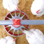 คอมพาร์ทเมนต์ ระบบป้องกันไก่ไทยปลอดไข้หวัดนก 