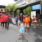 สวนนงนุชต้อนรับตรุษจีน จัดขบวนช้างแสนรู้เชิดสิงโต อวยพรนักท่องเที่ยว