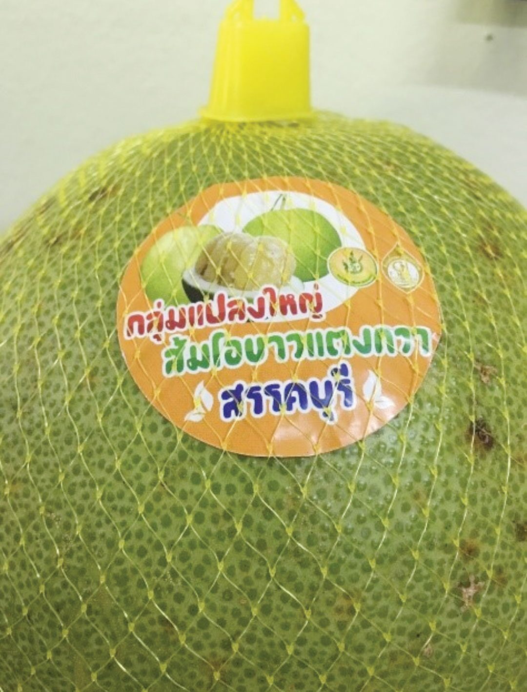 หลาก&หลาย - ส้มโอขาวแตงกวาสรรคบุรี แปลงใหญ่ต้นแบบแปรรูปสิ่งเหลือใช้