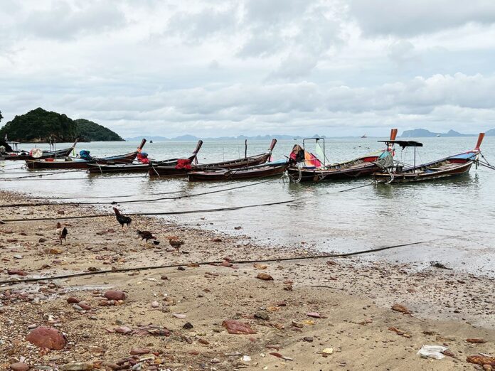 หลาก&หลาย - ทัวร์เกาะลันตา-กระบี่ สัมผัสเสน่ห์ช่วงกรีนซีซั่น