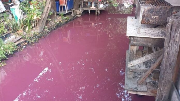 น้ำสีชมพู