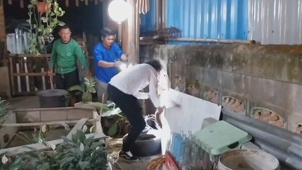 ผวาทั้งร้าน งูจงอางยักษ์ บุกงานเลี้ยงวันเกิด แขกร่วมโต๊ะนับสิบวงแตกกระเจิง เลื้อยซุกกำแพงข้างร้าน