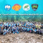 กรุงไทยสร้างโป่งเทียมอนุรักษ์ช้าง สร้างแหล่งอาหารที่สมบูรณ์ เนื่องในวันช้างไทย