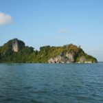อากาศร้อน เกาะรังนก พื้นที่สัมปทาน ได้รับผลกระทบหนัก นกอีแอ่นทำรังเล็กผิดปกติ