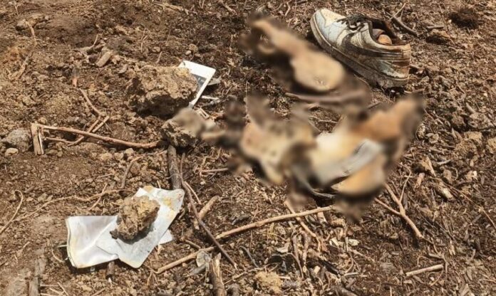 ไถปรับหน้าดิน ผงะ โครงกระดูกปริศนา โผล่ พบบัตรจนท.สหประชาติ ตกอยู่ 7