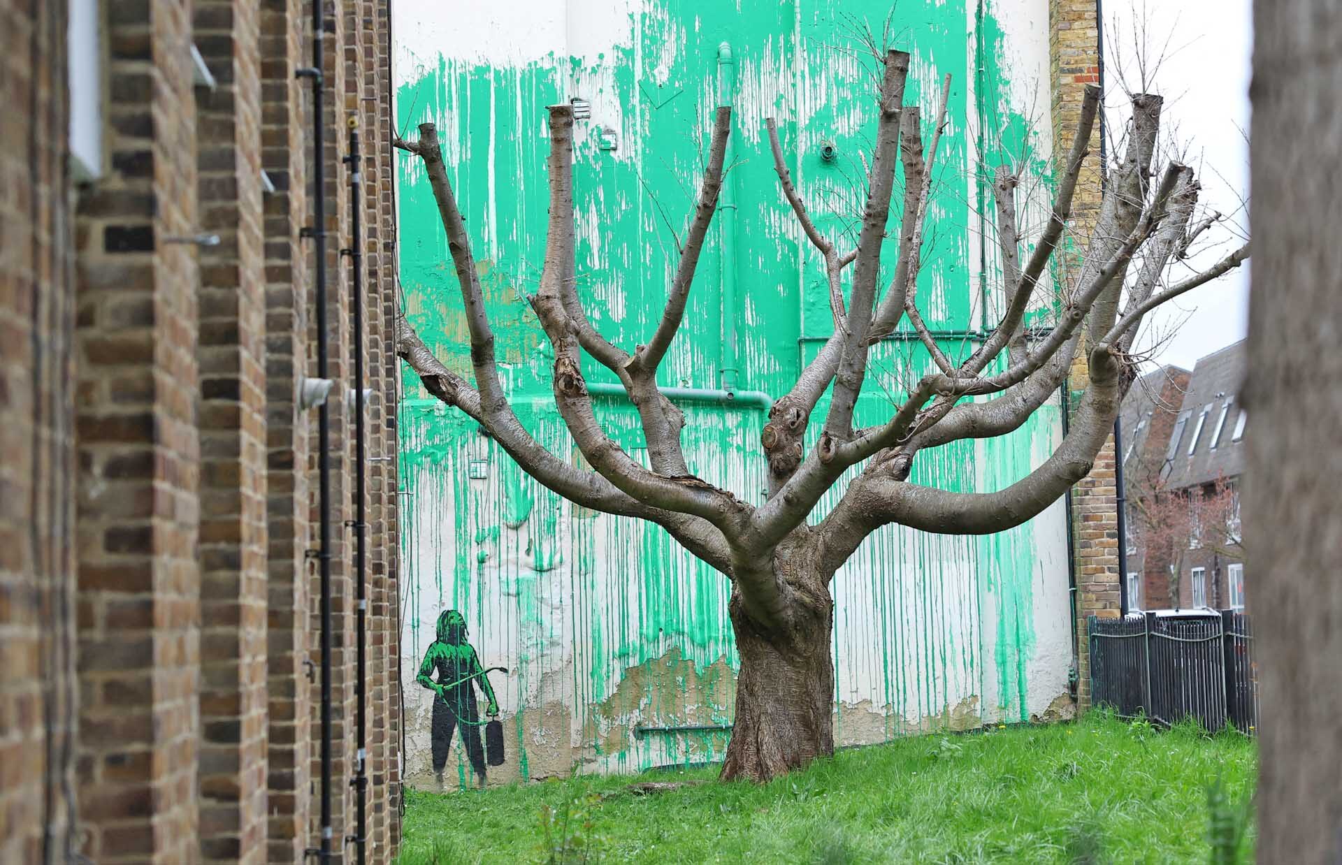 ลอนดอนฮือฮา! ภาพใหม่ “แบงก์ซี” พ่นสีกำแพง-ชุบชีวิตต้นเชอร์รี่เหลือแต่ก้าน
