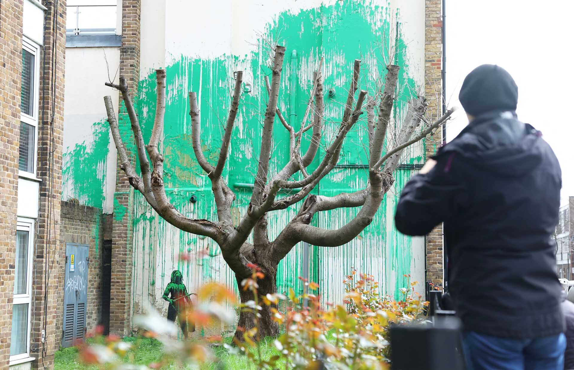 ลอนดอนฮือฮา! ภาพใหม่ “แบงก์ซี” พ่นสีกำแพง-ชุบชีวิตต้นเชอร์รี่เหลือแต่ก้าน