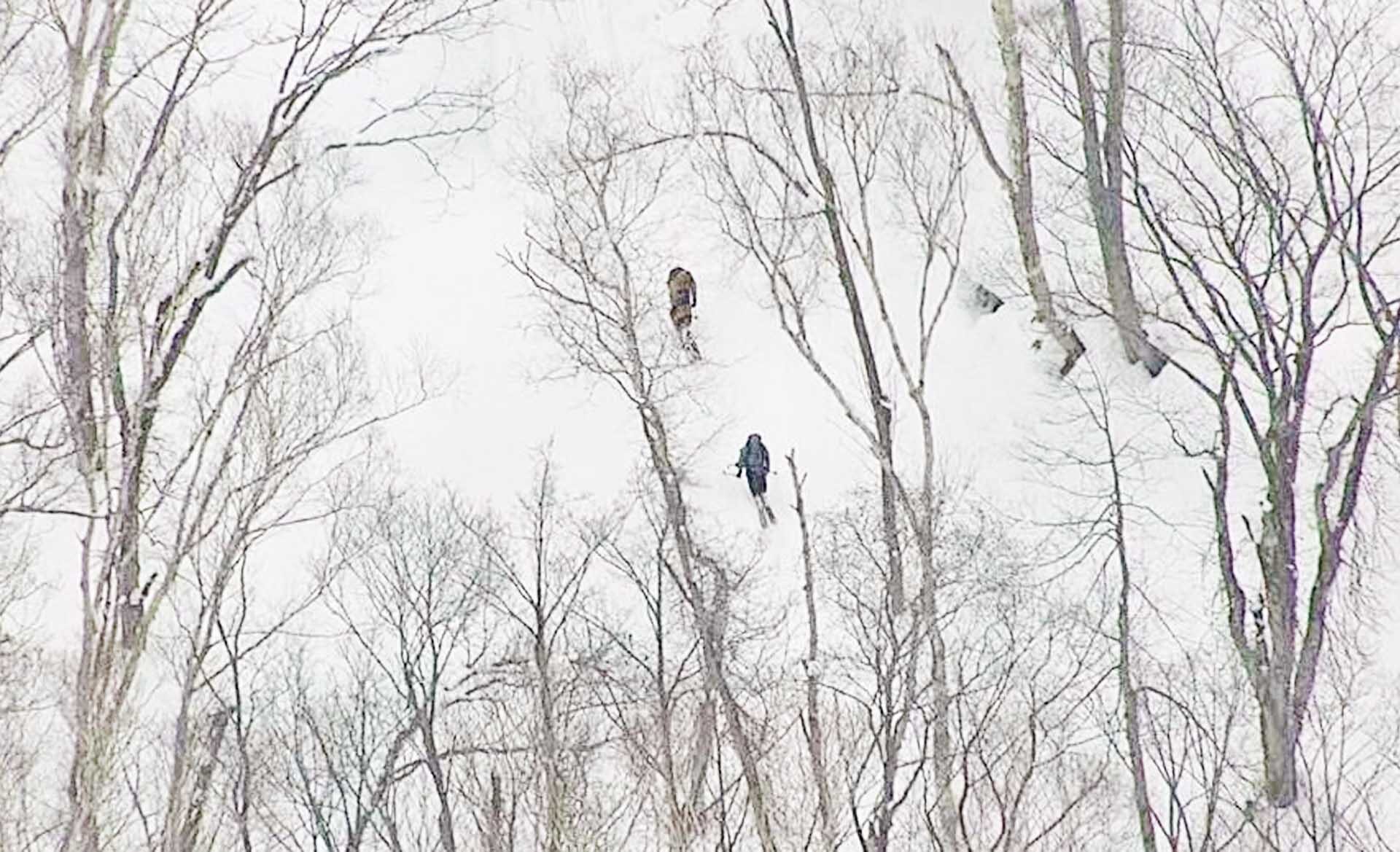 สลดนักท่องเที่ยวดับ 2 ศพ เซ่น “หิมะถล่ม” ขณะเล่นสกีบน “ภูเขาฟูจิแห่งฮอกไกโด”
