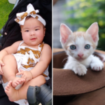 โย่ง อาร์มแชร์ ขึ้นเวที Pet Healthcare 2024 เผยความแสบ ส้มหยุด แนะวิธีแก้ปัญหาแมวจร