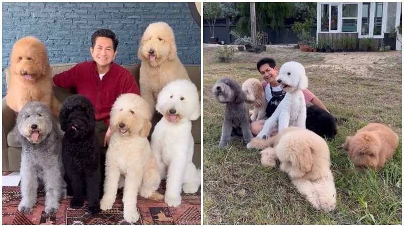ดุ๊ก ภานุเดช ควง ฮิวโก้ ร่วมงาน Pet Healthcare 2024