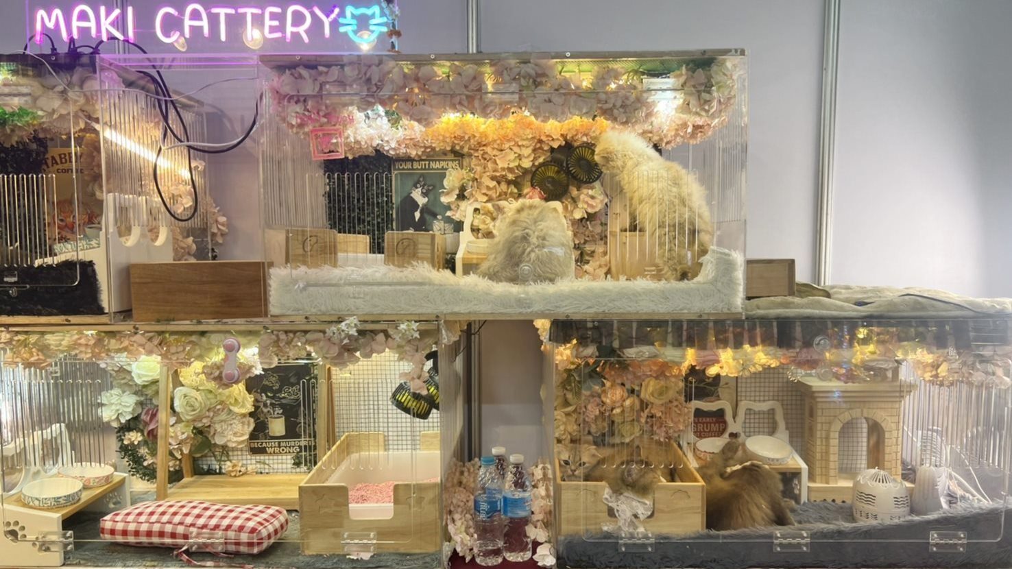 ดุ๊ก ภานุเดช ควง ฮิวโก้ ร่วมงาน Pet Healthcare 2024