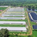 ซีพีคิกออฟลดการปล่อยคาร์บอน ตามเป้าหมาย zero carbon ของซีอีโอศุภชัย