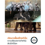 เปิดด้านมืดธุรกิจค้าสัตว์ป่าทั่วโลก 